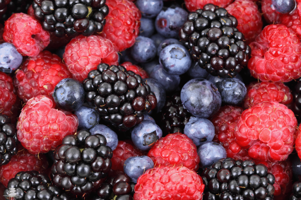 antioxidants